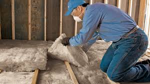 Types of Insulation We Offer in Kaplan, LA